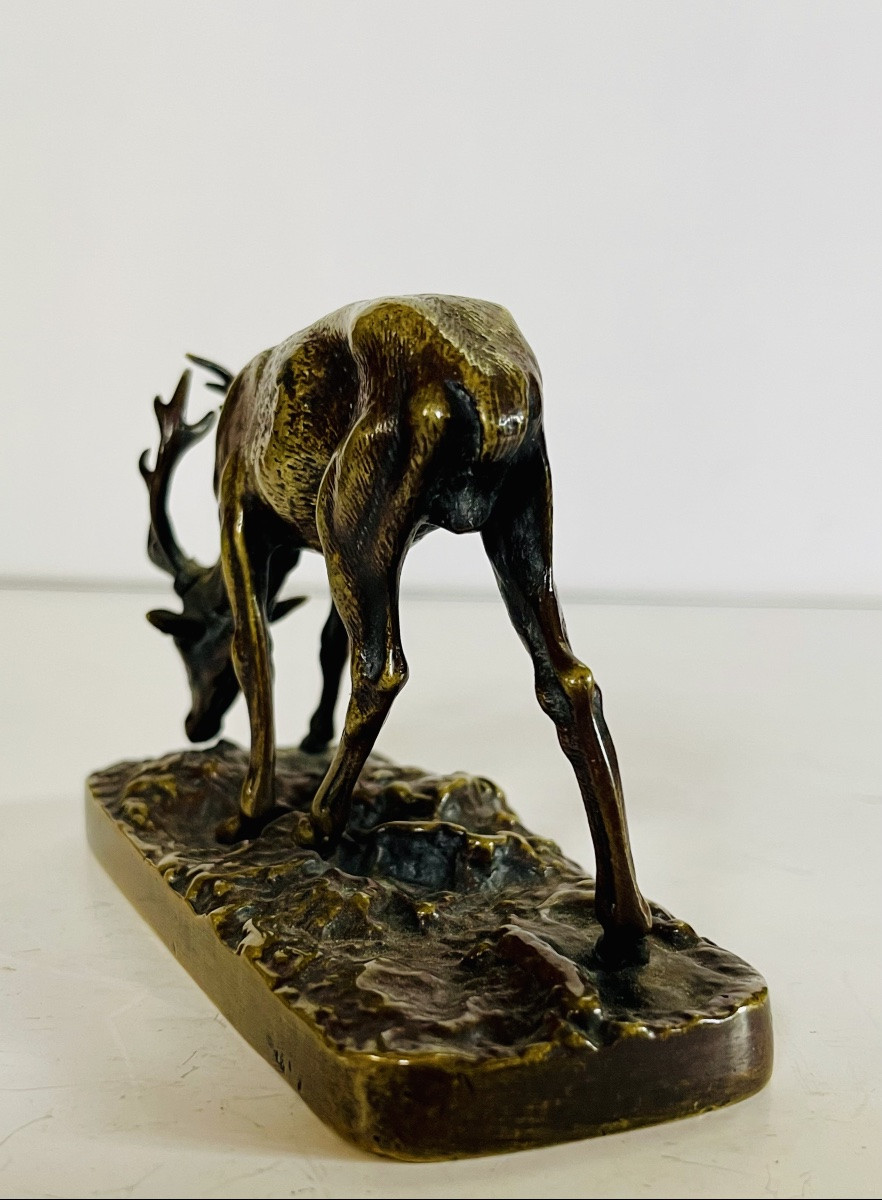 Bronze Stag-photo-4